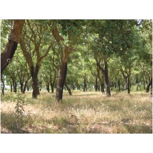img_0165.jpg
